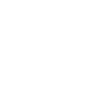 Plant Leaves Palm