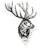 Hirsch