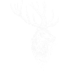 Hirsch