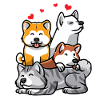 Akita Inu
