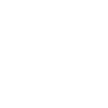 security Americans style