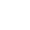 security standard