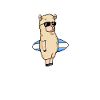 lustiger Spruch