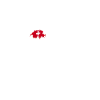 Schweiz Schweizerdeutsch Schweizer Herzschlag