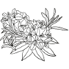 Rhododendron | Flowering | Nature | Gift