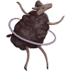 Sheep Hula hup