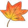 Autumn Leaf Maple Leaf