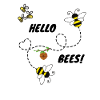 Hello Bees!
