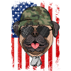 Pug
