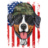Bernese Sennen