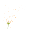 Pusteblume Fleur Fleur Porte-bonheur