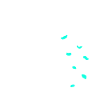 Klettern Evolution Klettergriffe Kletterwand