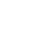 Technician Description