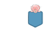 Naked mole in shirt pocket