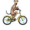 Galgo espanol chien à vélo