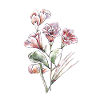 bouquet de fleurs aquarelle
