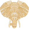 Elephant Yoga Elephants