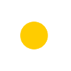 Daisy Flower