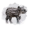 tapir,graffiti,malerei,lachen,grau,baby