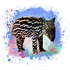tapir,graffiti,malerei,lachen,blau,baby
