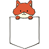 Fox in your pocket