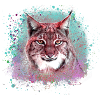 wildcat,lynx,pastel,graffiti,painting,cat