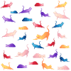 Cats Yoga Catmania