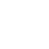 LUTHIER LE SEUL LE VRAI