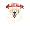 Papa Golden Retriever, papa chien