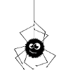 Funny spider