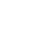 Islandhund The Walking Dad