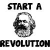 Karl Marx Revolution