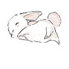 Cute Rabbit Animal Easter