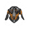 Dachshund