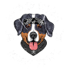 Bernese Sennen