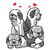 Old English Sheepdog Bobtail Dog