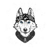 HUSKY