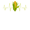 Corn Heartbeat