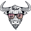 Cooler Bison Stier mit Zottelhaar