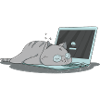 Sleeping cat home office