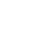 White lion and sunglasses