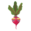 Turnip with sunglasses