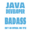 Java Developer Badass