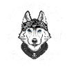 HUSKY