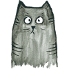 Cat grey tigered