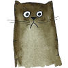 Cat brown