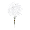 Fleur Pusteblume