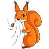Eichhörnchen