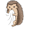 Igel