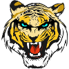 Cool tiger head t-shirt